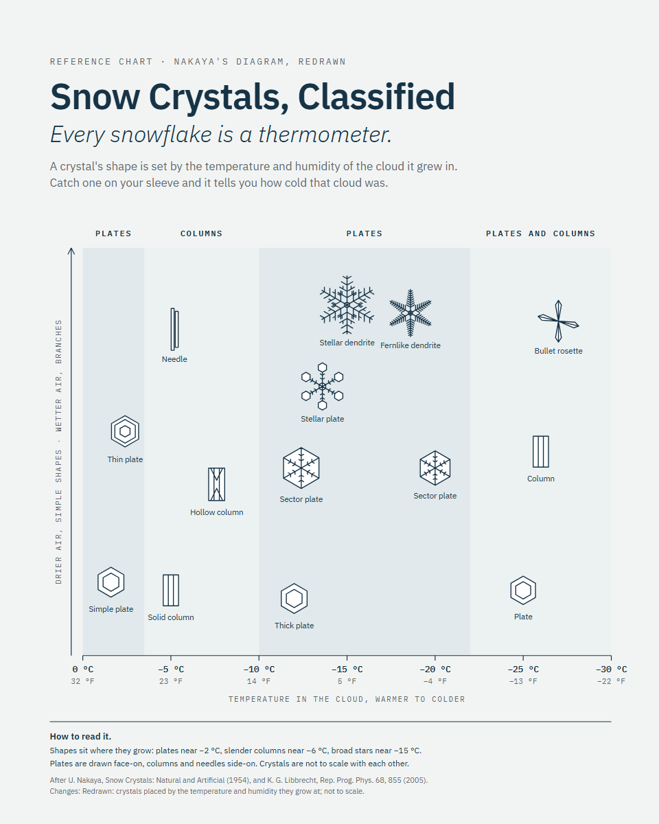 Snow Crystals, Classified: Fourteen snow crystal types, each drawn where it grows on Nakaya's temperature and humidity diagram.